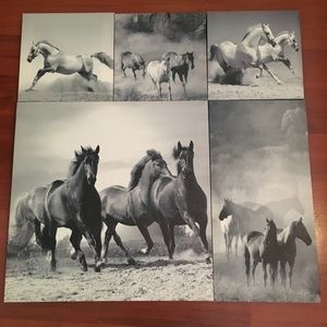 Horse canvas painting collage *5 pieces*